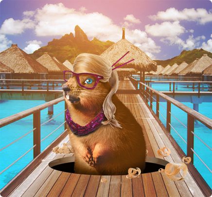 A Desk Gopher relaxing on vacation